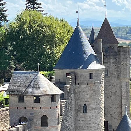 Appartement Tres Calme, Rdc, 800 M De La Cite Medievale Classee Au Patrimoine De L'Unesco 卡尔卡松 外观 照片