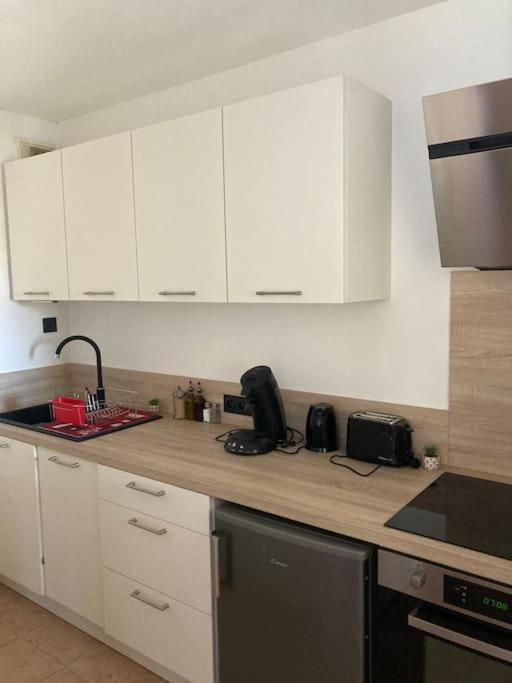 Appartement Tres Calme, Rdc, 800 M De La Cite Medievale Classee Au Patrimoine De L'Unesco 卡尔卡松 外观 照片