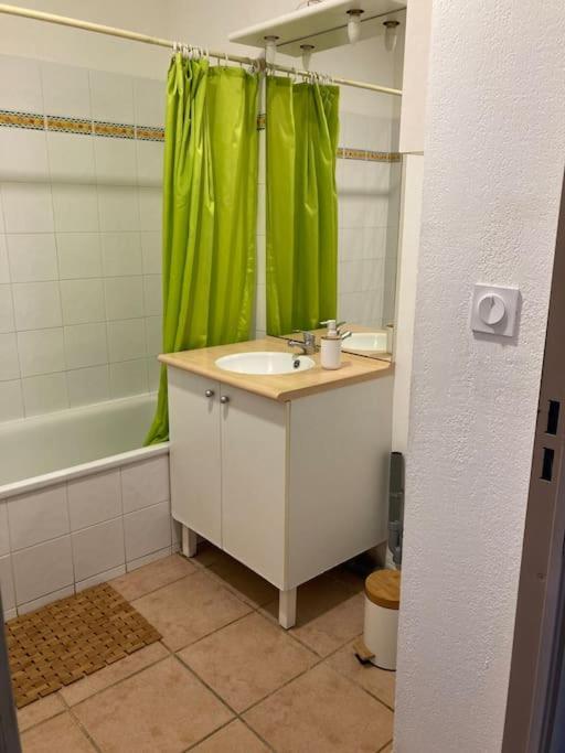 Appartement Tres Calme, Rdc, 800 M De La Cite Medievale Classee Au Patrimoine De L'Unesco 卡尔卡松 外观 照片