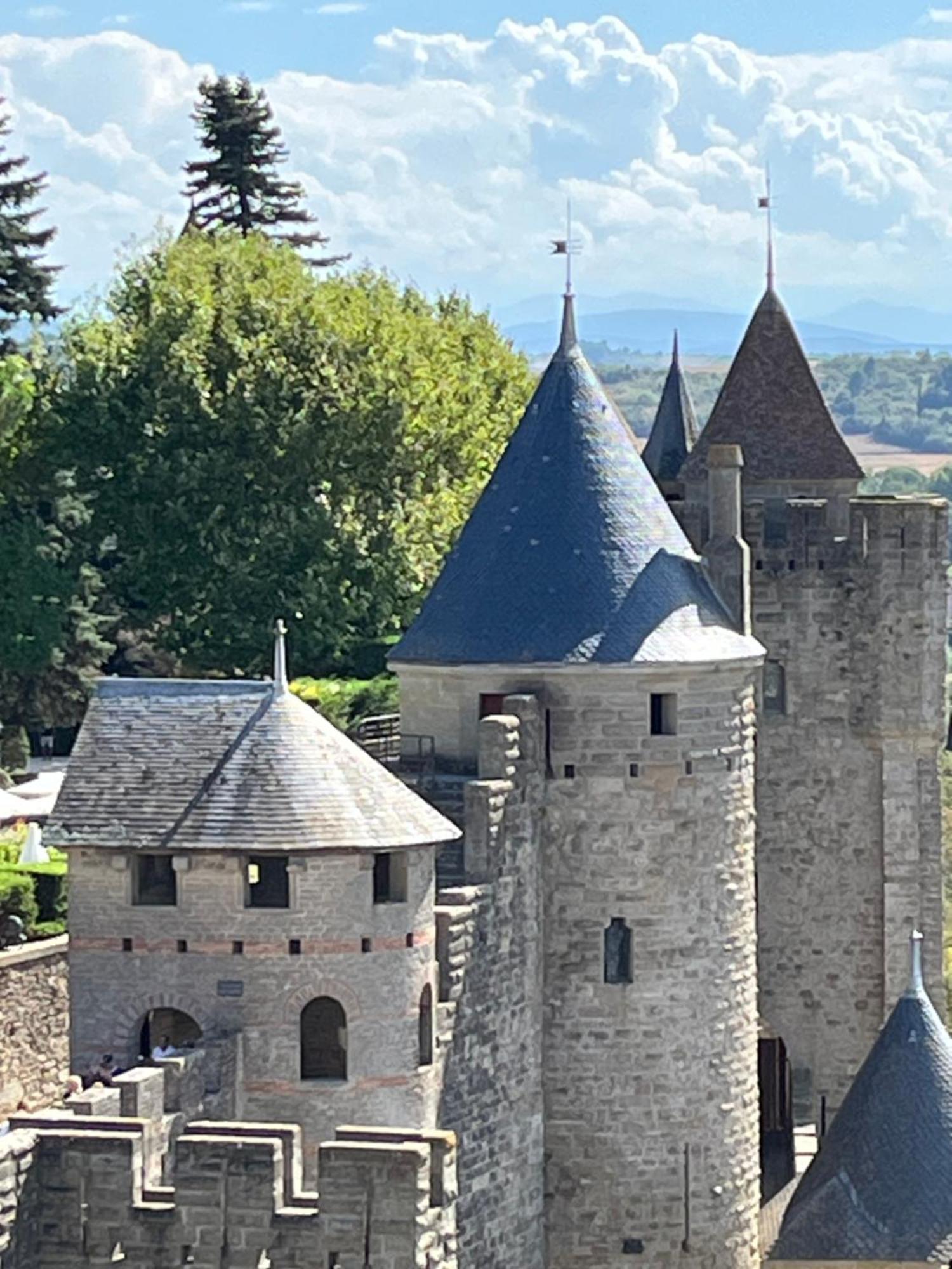 Appartement Tres Calme, Rdc, 800 M De La Cite Medievale Classee Au Patrimoine De L'Unesco 卡尔卡松 外观 照片